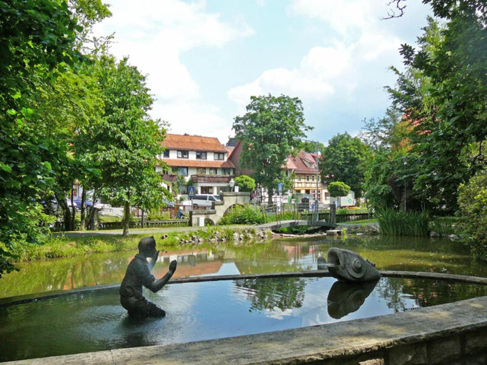 Apartment Jagdschloesschen, Bad Sachsa Exteriér fotografie